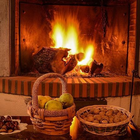 Hotel Los Castanos アラセナ エクステリア 写真